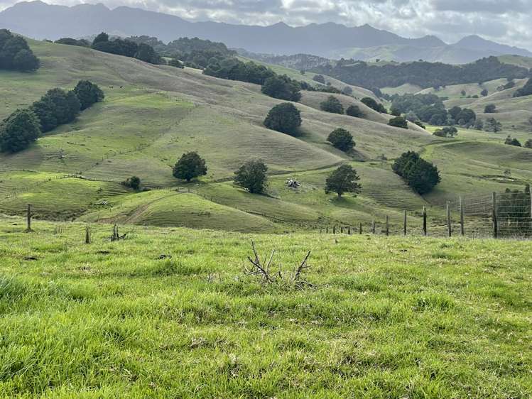 426 Mangarata Block Road Arapohue_18