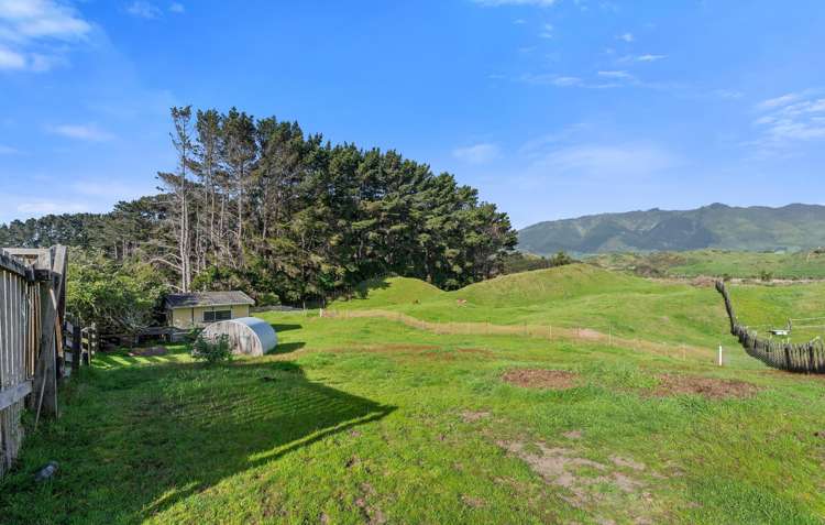 107 Paetawa Road Peka Peka_17