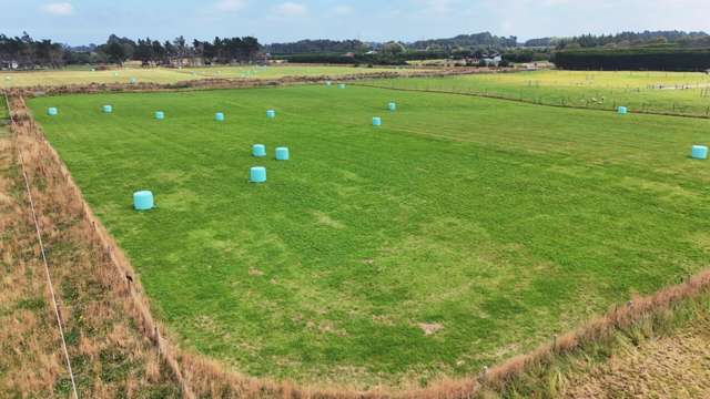 35 Dairy Way Seaward Bush_1