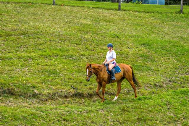 3 Mahurangi East Road Sandspit_4