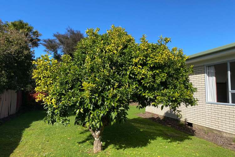 105 Tony Avenue Thames_20