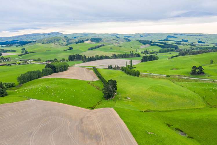 47 Hurunui Mouth Road Domett_6