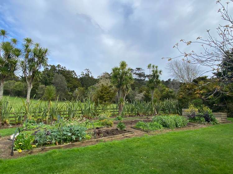 115 Bethells Road Waitakere_21