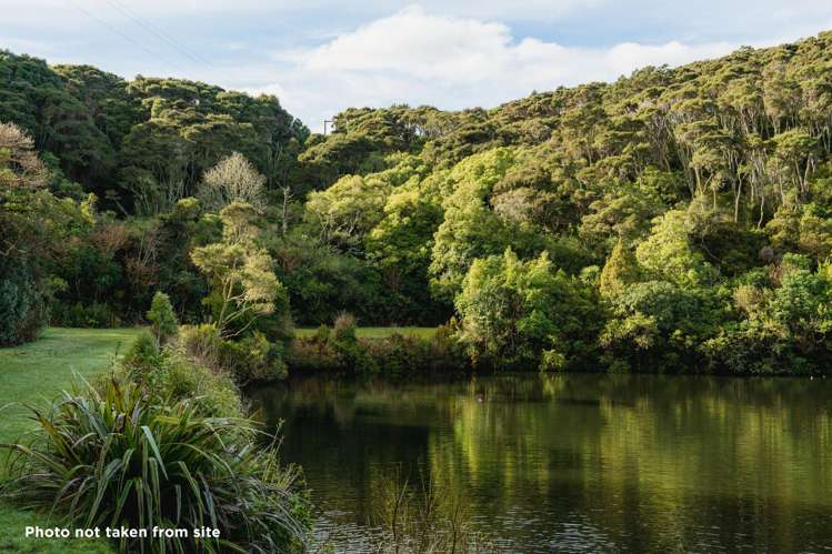 135 Shetland Street Wakari_16