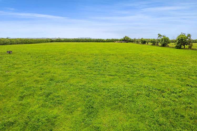 0n Normanby Road Lower Manaia_11