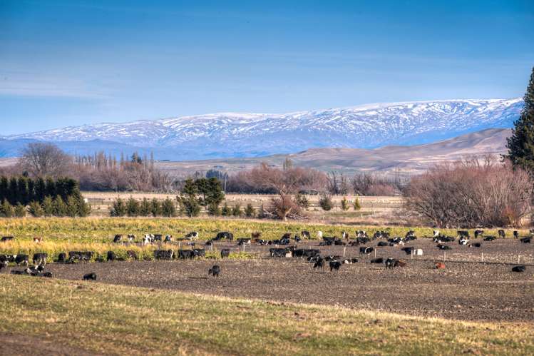 45 Mawhinney Road Omakau_6