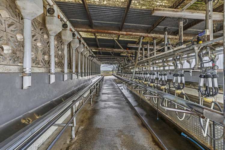 18 Hodgson Road Te Pahu_21