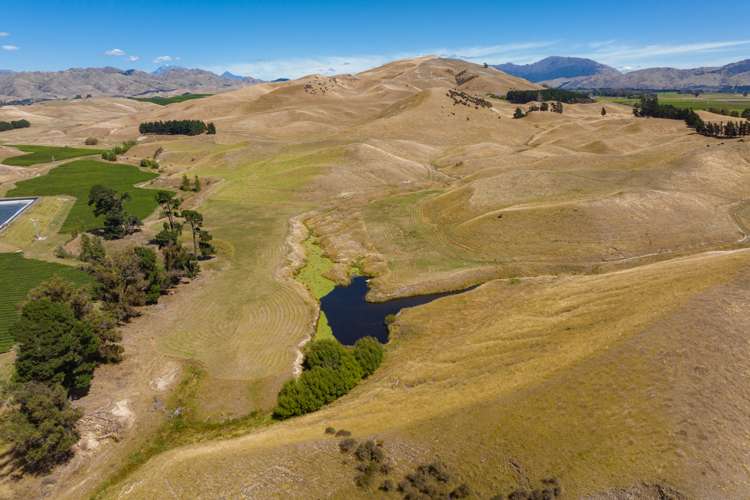 167 Marama Road Seddon_14