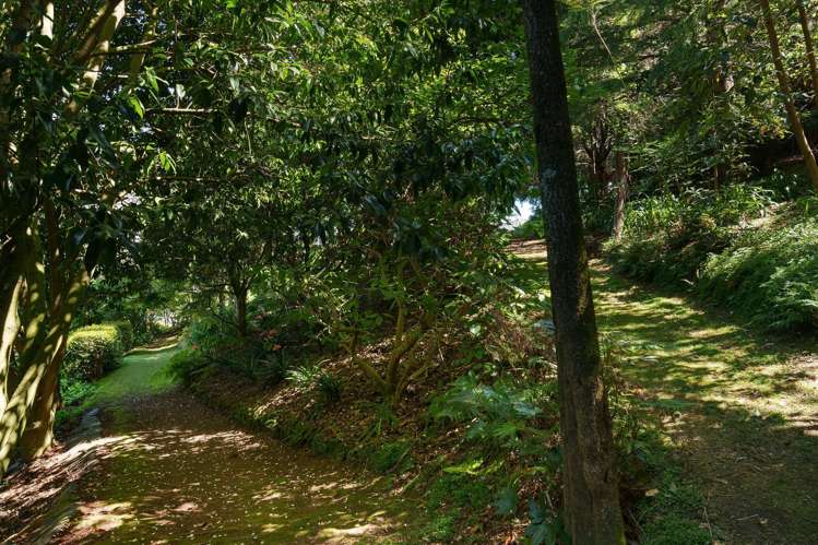 27 Westridge Drive Tauriko_18