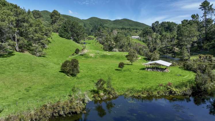 294b Dods Road Waikite Valley_11