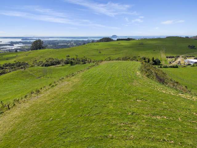 596A Minden Road Te Puna_4