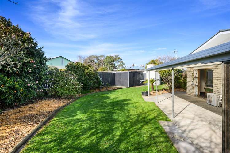 6 Flower Street Bulls_35