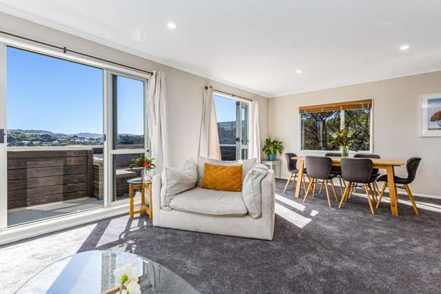 81 Nevay Road Miramar_4