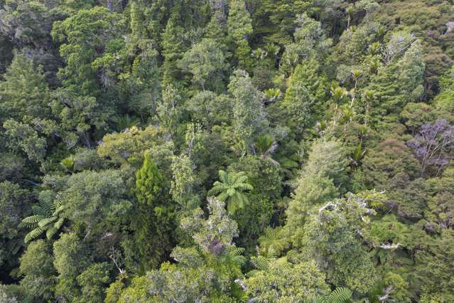 Lot Lot 6/609B Peria Road Peria_2