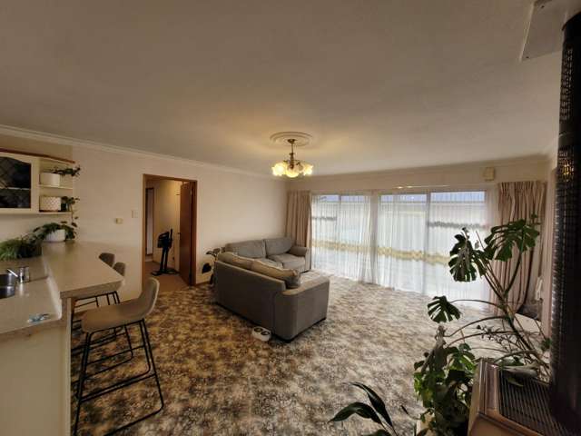 105 Edinburgh Crescent Waikiwi_1