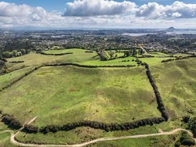120/125 Upper Ohauiti Road_4