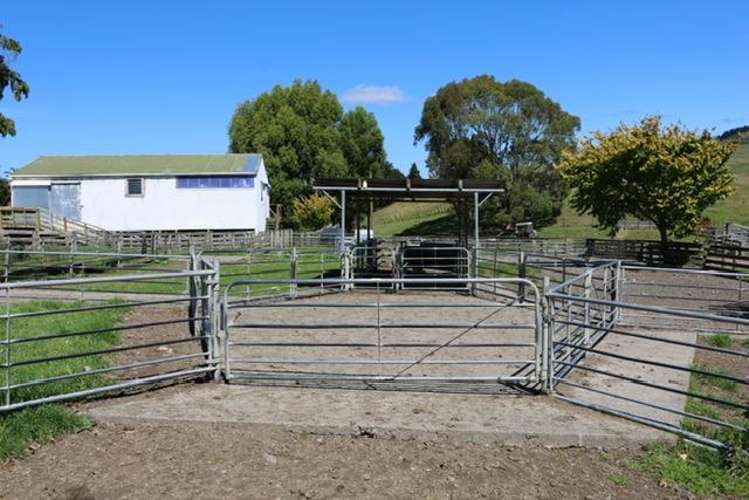 98 Millstream Road Dannevirke_18