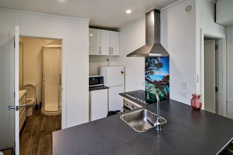 4 Walter Street Te Aro_10