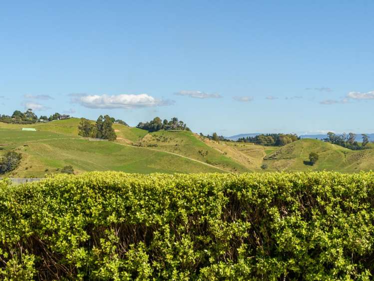 294 Ballintoy Park Drive Welcome Bay_14