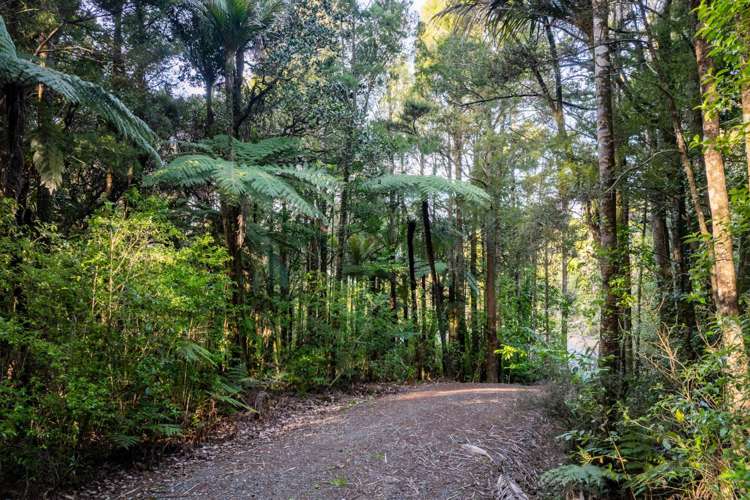 Lots 1 & 2 Carters Road West Mangawhai_23