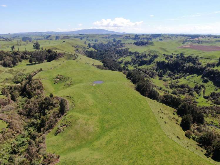 Ngaroma Road Wharepuhunga_9