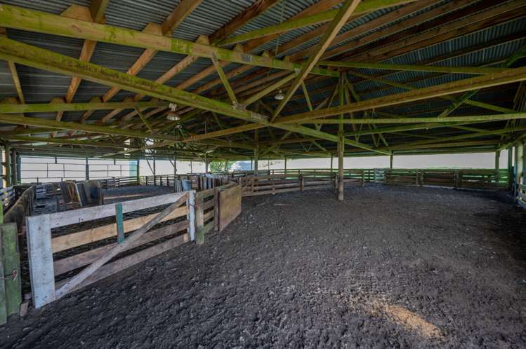 23 Mahoe Road Waitomo_15