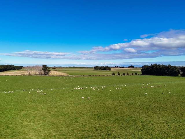 495. Thornbury Waimatuku Road Thornbury_1