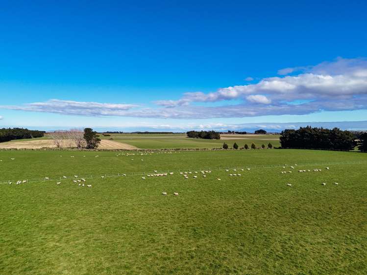 495. Thornbury Waimatuku Road Thornbury_1