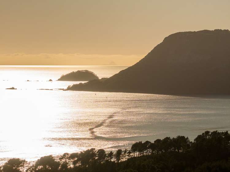 205 Matakana Island, 148 HA Matakana Island_17