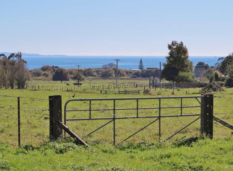 99 Clifton Road Kahurangi National Park_8