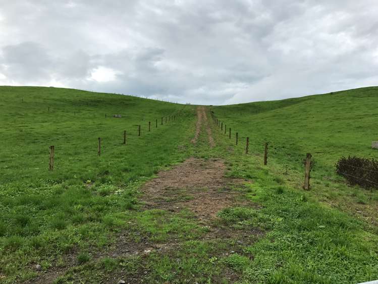 363 Martin Road Waerenga_5