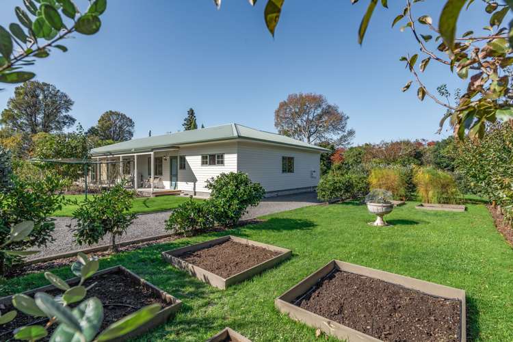 31 Udy Street Greytown_22