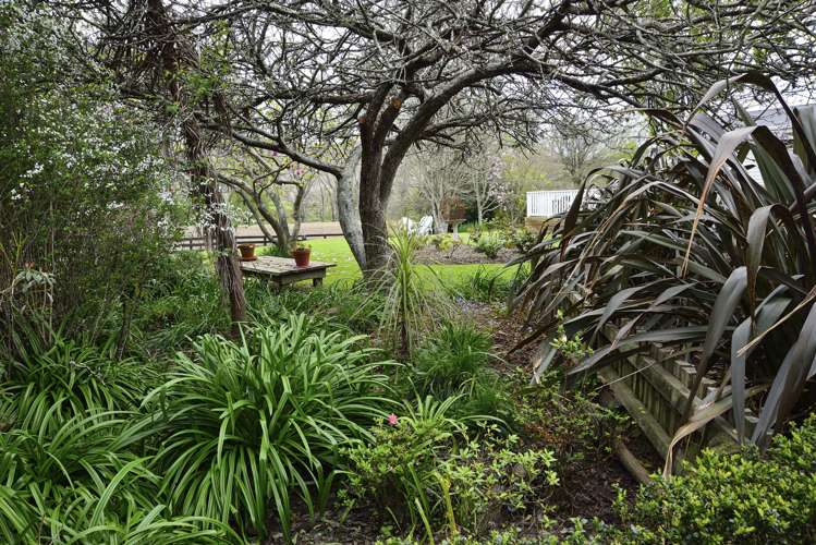 232 Brownlie Road Wairoa Country_28