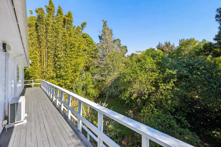 20B Queenstown Road Hillsborough_16