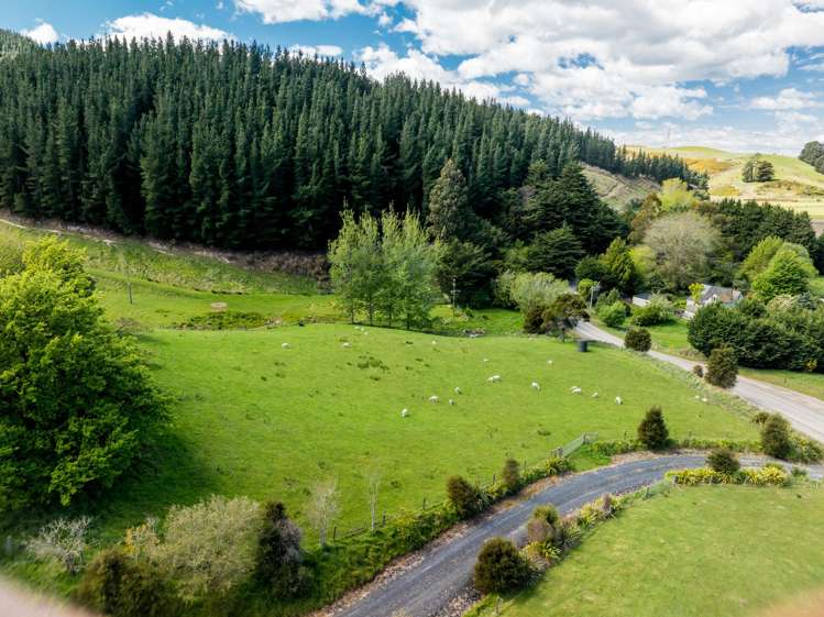 292 Waipori Falls Road Berwick_23