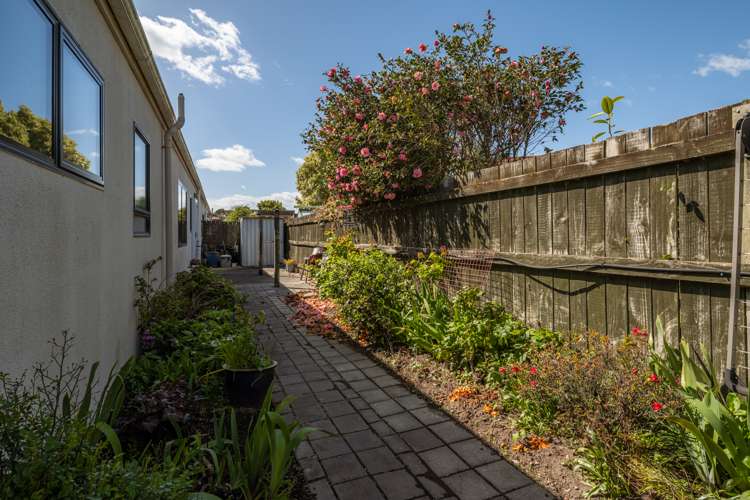 12b Gaylee Place Redwoodtown_19