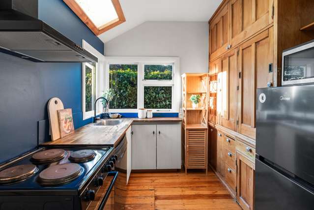 77 Colombo Street Somerfield_2