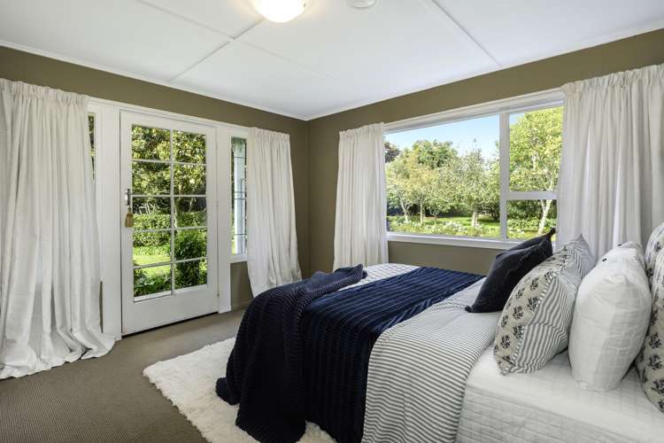 356 Belk Road Kaimai_15