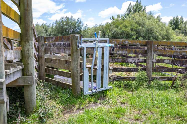 Broomfield Road Woodville_15