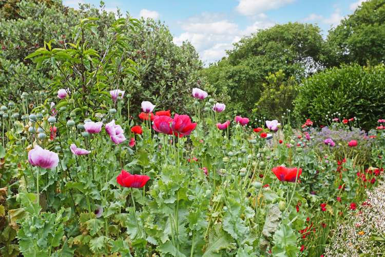 26 Ernest George Drive Karaka_2