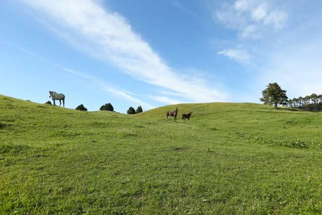Lot 1 1461 Poihipi Road Oruanui_2