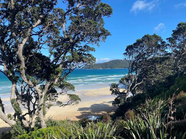 9 Blackwell Drive Great Barrier Island (Aotea Island)_3