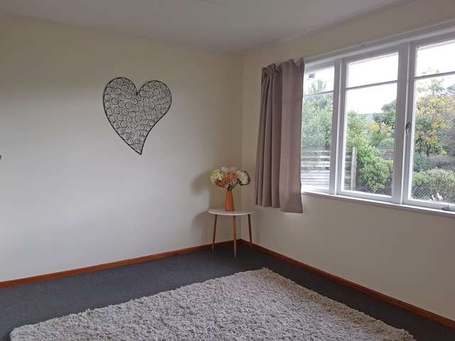 47b Cornwall Street Masterton_3