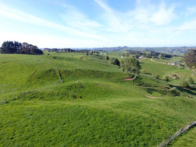 167A Tate Road Te Kuiti_1
