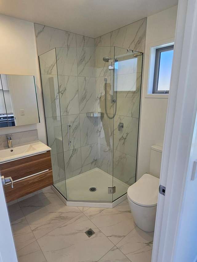  19 Winchester Street Merivale_4