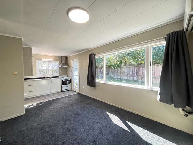 3/54 View Road Henderson_4
