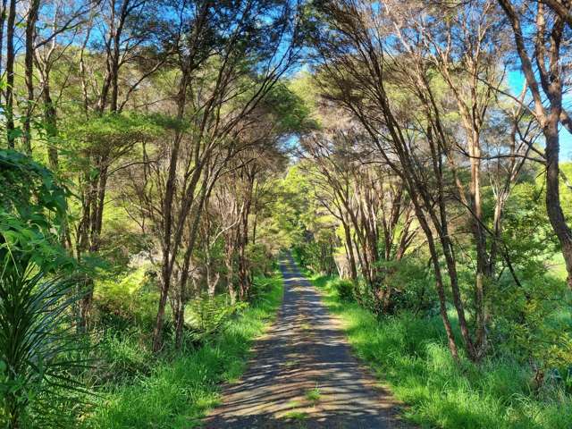 14c Greenslade Road Raglan_1