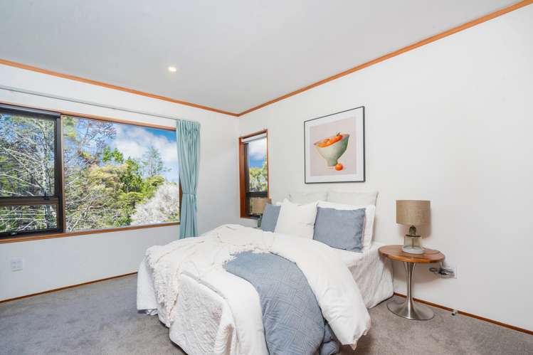 202 Albany Heights Road Albany Heights_9