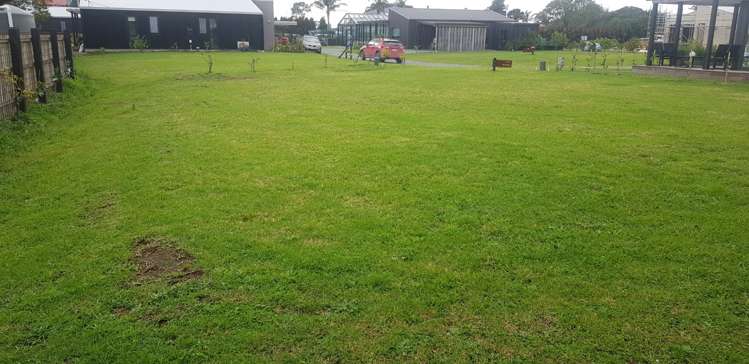 13 Citrus Place Mangawhai_6