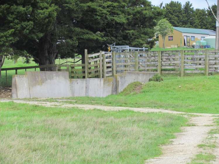 300 Gumtown Road Kamo_5